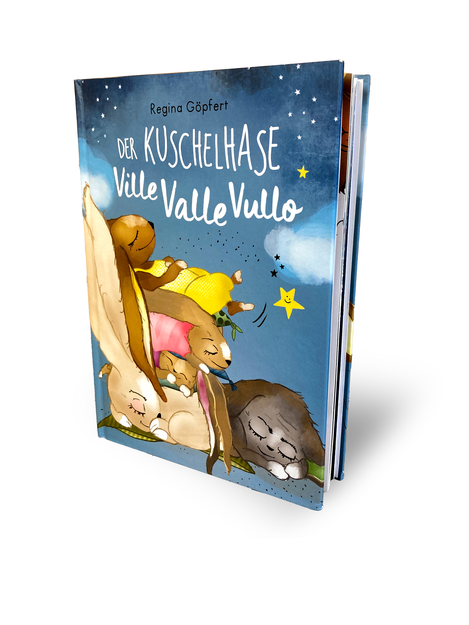 VilleValleVullo-Buch-3D-Ansicht