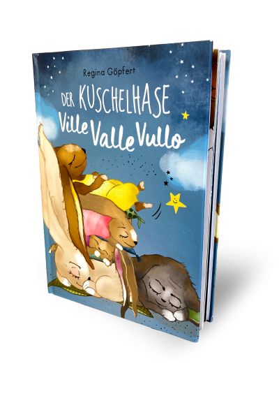 VilleValleVullo-Buch-3D-Ansicht